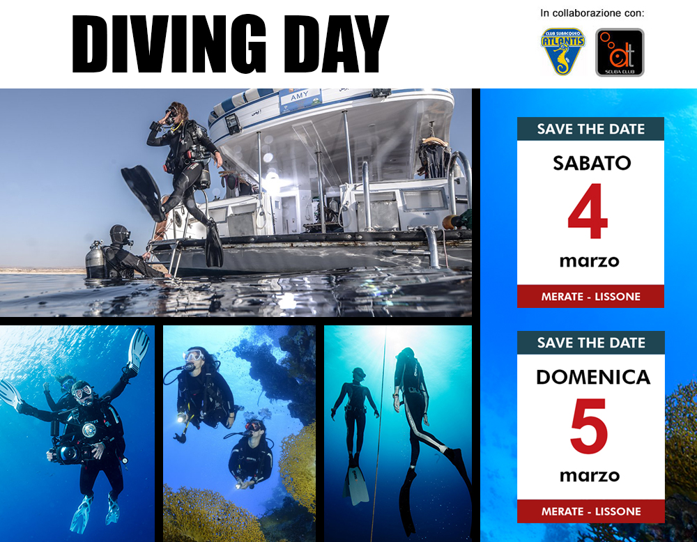 Diving-Day maxi news
