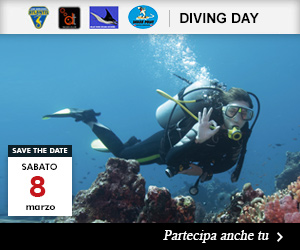 diving_day_8_marzo