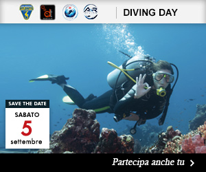 diving_day2026_set